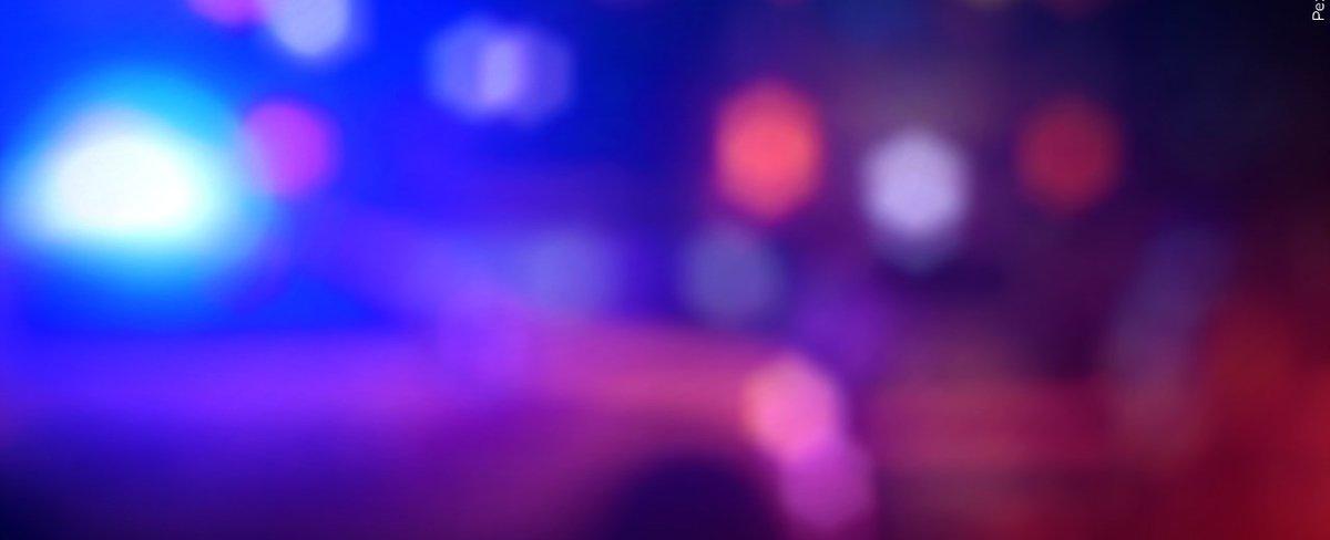 Kentucky woman killed by pack of dogs