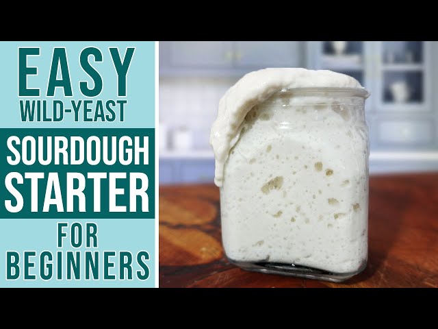 SOURDOUGH STARTER RECIPE + Maintenance Guide // Perfect for Beginners (step by step)