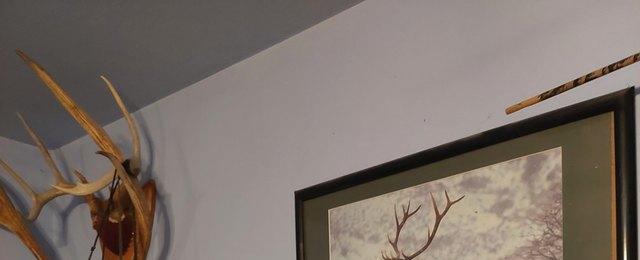 15 Funny Photos That Prove Pets Are The Absolute Best | Cuteness