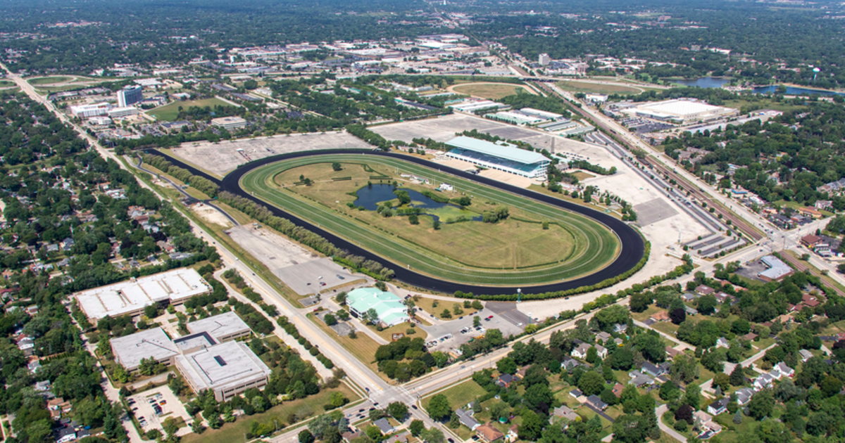 Kaegi moves to raise Bears' Arlington Heights property taxes