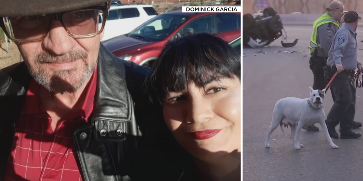 Las Vegas councilwoman says dogs will be returned to family of man who died after crash
