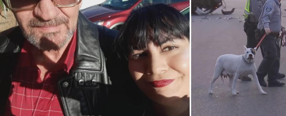 Las Vegas councilwoman says dogs will be returned to family of man who died after crash