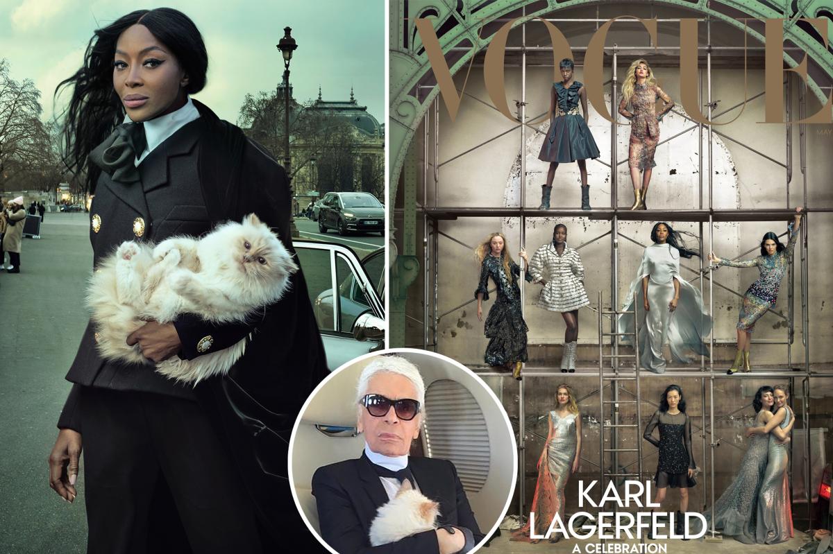 Karl Lagerfeld's cat, Choupette, stars in Vogue cover story