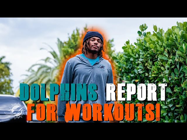 Miami Dolphins Report For Voluntary Team Workouts! | More Cook News!