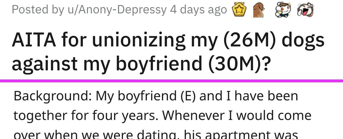 Woman Teaches Dogs To Get Petty Revenge On Messy Boyfriend And Asks If She's A Jerk