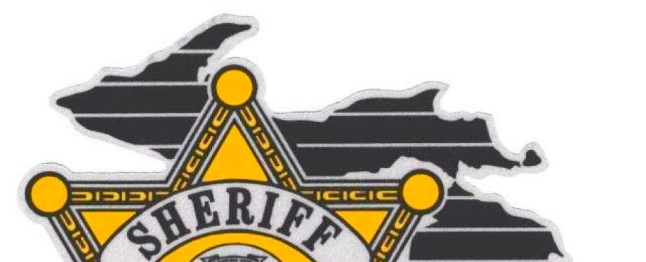 46 dogs, 4 cats in 'deplorable conditions' seized in Sanilac County