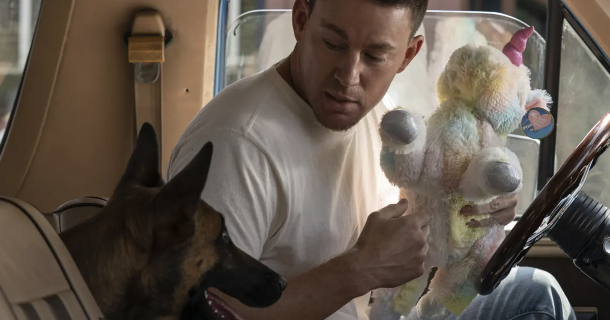 Bannock County kicking off season of outdoor movies with showing of 'Dog' on May 13