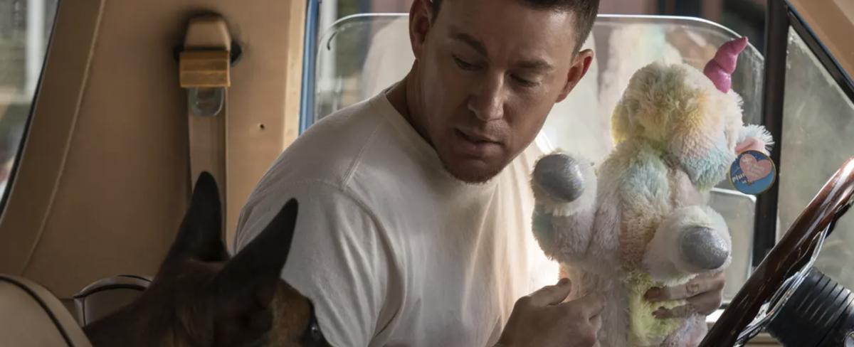 Bannock County kicking off season of outdoor movies with showing of 'Dog' on May 13