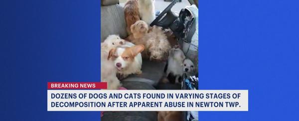 Pet rescue group: Dozens of dogs, cats in Sussex County, some dead, found trapped in truck
