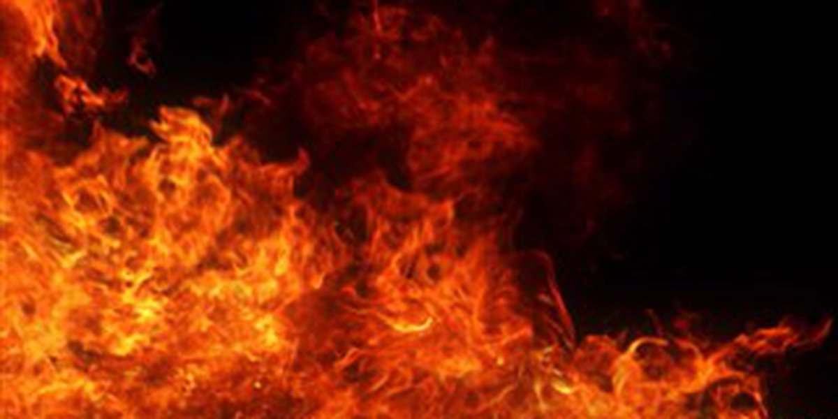 Pet dog dies, person displaced after Fargo fire