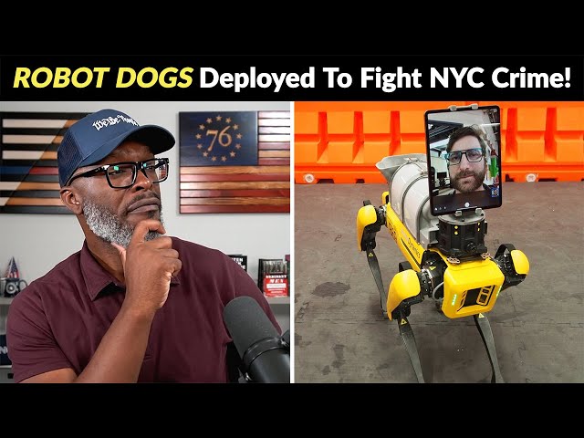ROBOT DOGS Deployed To Fight NYC Crime... Will This Work?
