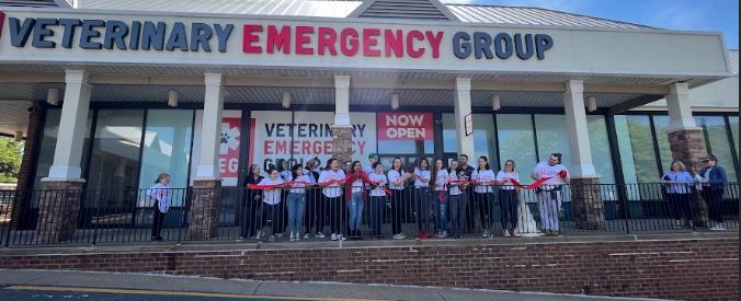 New pet emergency room, open 24/7, opens in Falls Church