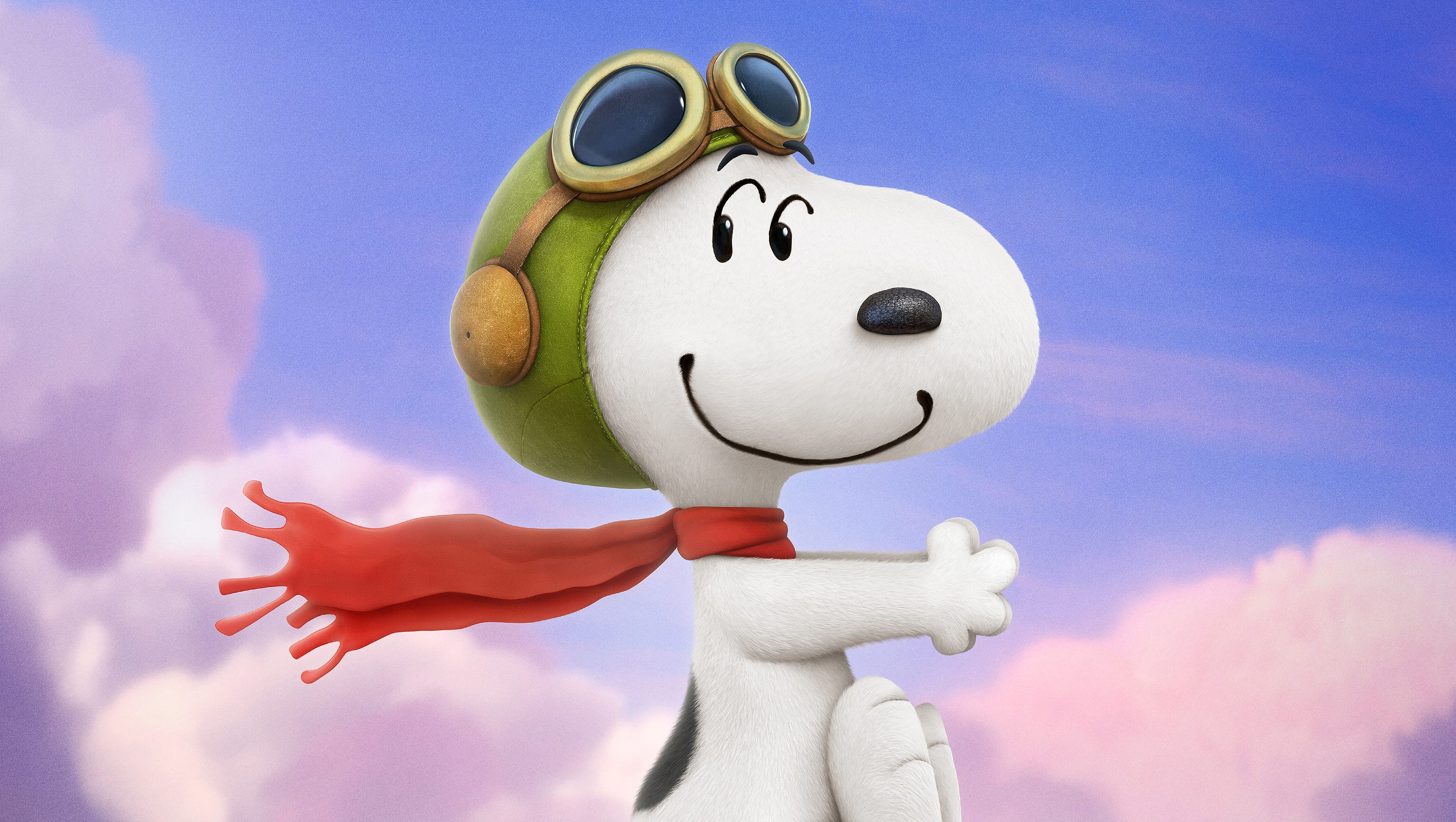 Bayley the dog, a mini sheepadoodle who looks like Snoopy from Peanuts