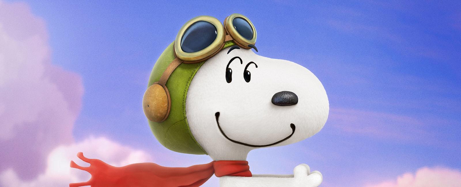 Bayley the dog, a mini sheepadoodle who looks like Snoopy from Peanuts