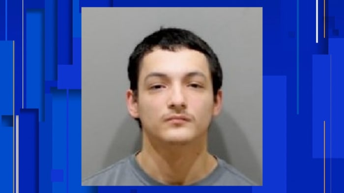 Detroit man arrested for burying his dog alive in backyard, leading to its death