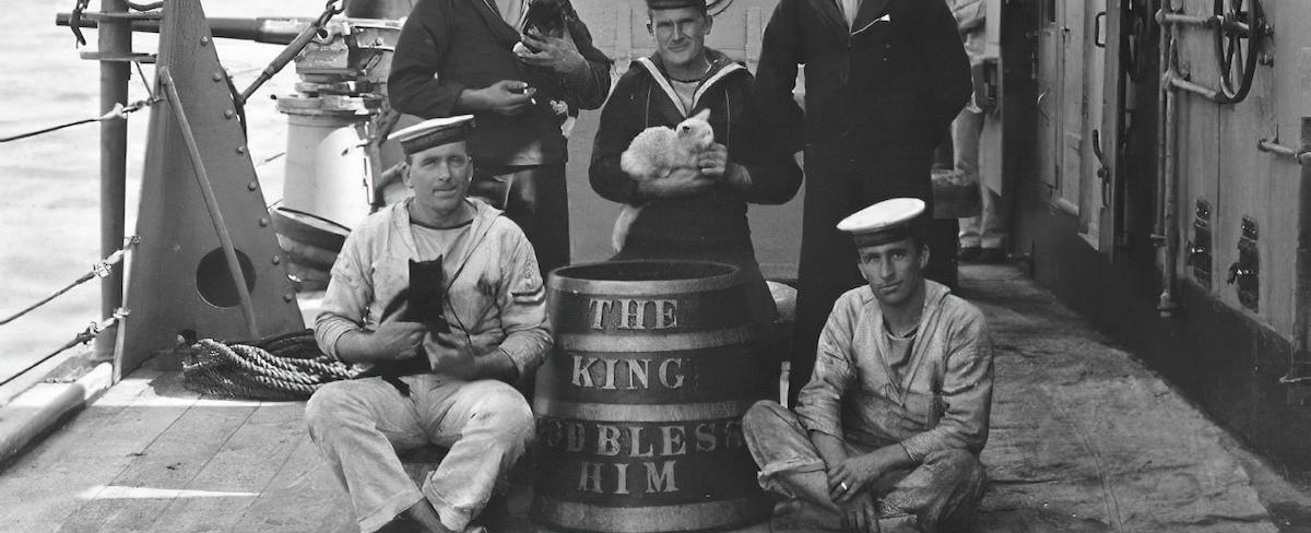 The forgotten history of cats in the navy