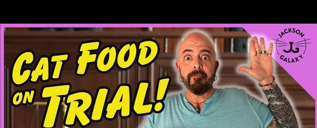 The Problem with Cat Food: Jackson Live and Unfiltered!