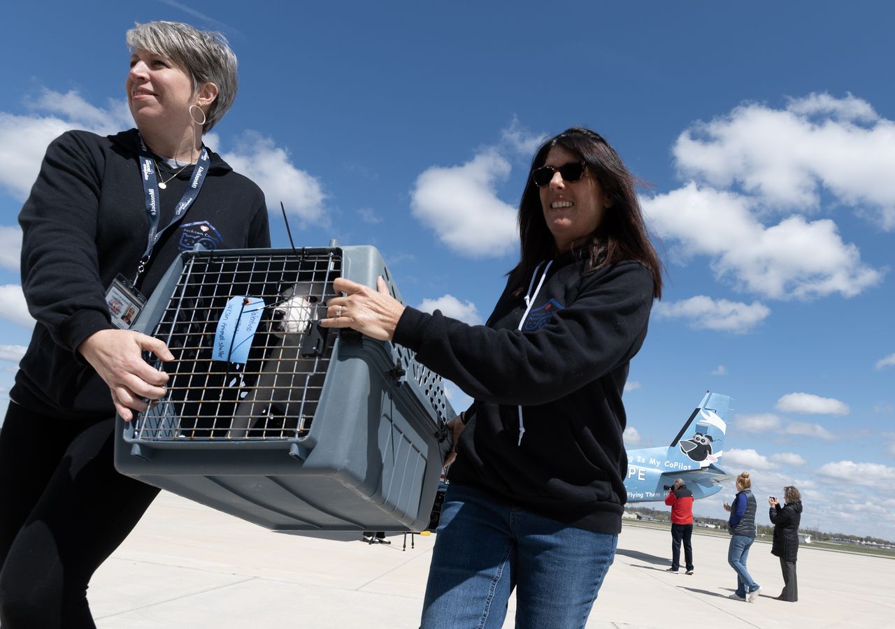 11 dogs were saved thanks to a plane ride to Jackson County