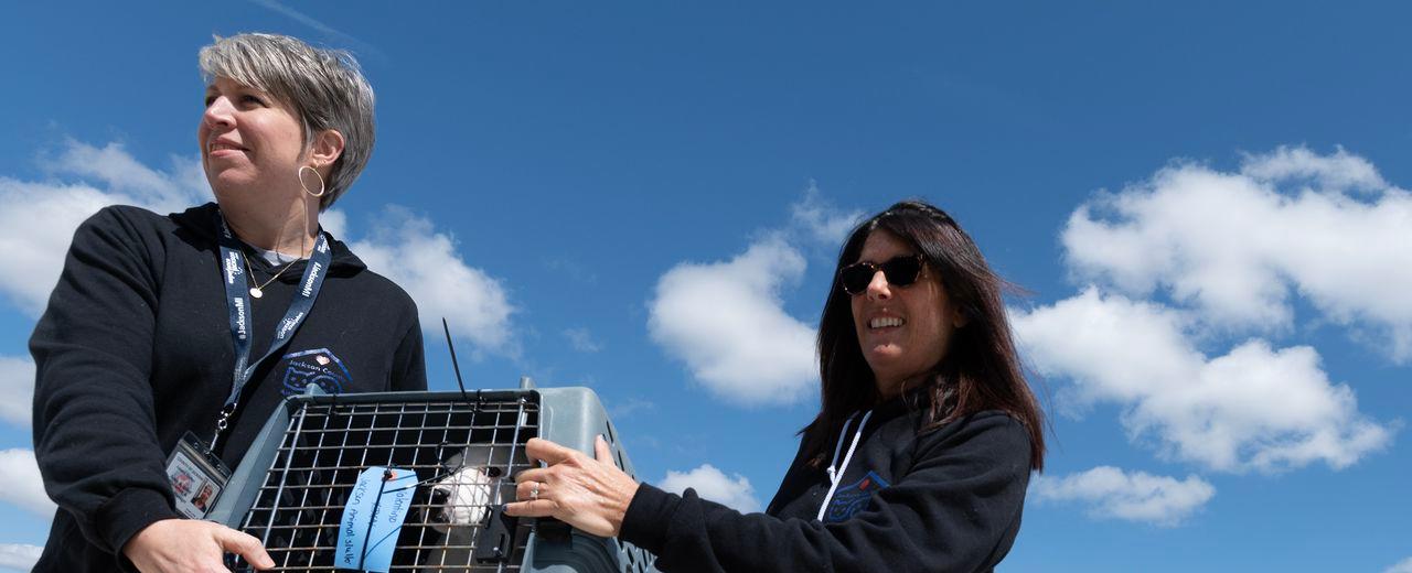 11 dogs were saved thanks to a plane ride to Jackson County