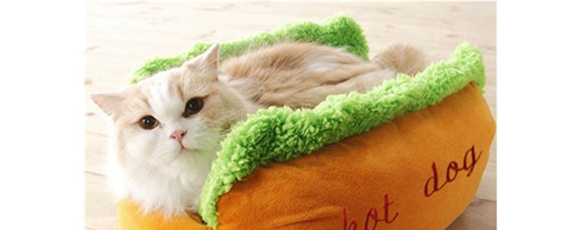 Hot Dog Sofa Bed Soft Warm Pet Bed Hot Dog Pad Pet Cushion U Shaped Pattern Winter Warm Kennel For Cat Dogs From Mudanflower, $21.12