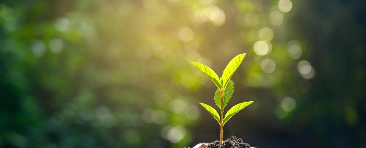 What The Workplace Needs Right Now: A Paradigm Shift In Thinking Around Wellbeing And Sustainability