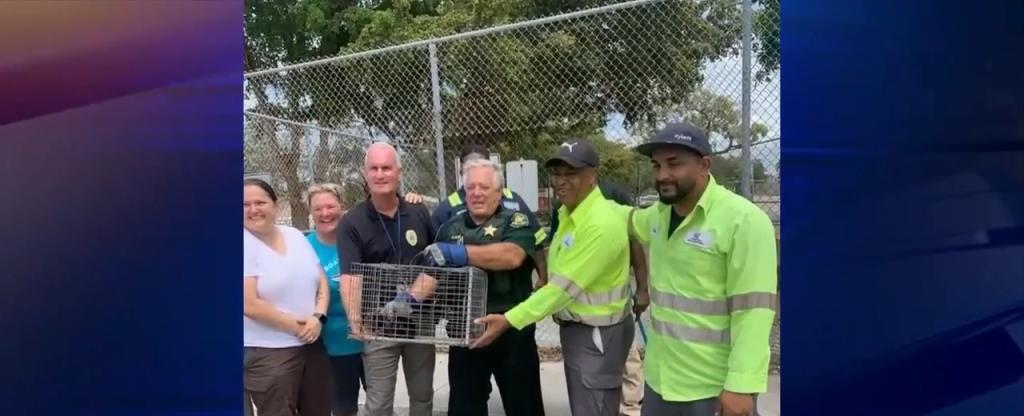 BSO deputy saves a cat that was trapped in Mercedes-Benz