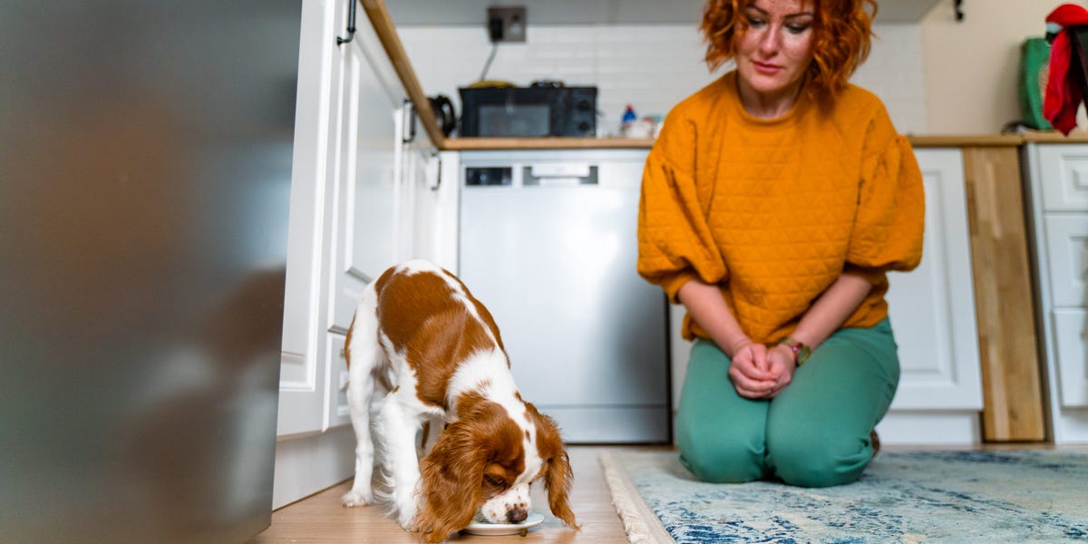 'Human-Grade' Dog Food Is on the Rise As Pet Owners Ditch Kibble