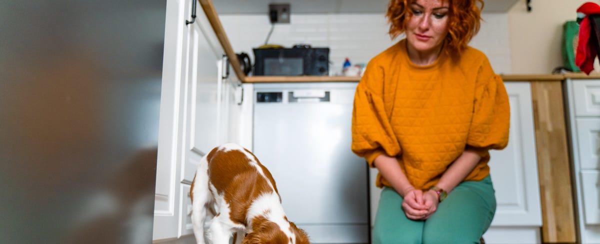 'Human-Grade' Dog Food Is on the Rise As Pet Owners Ditch Kibble