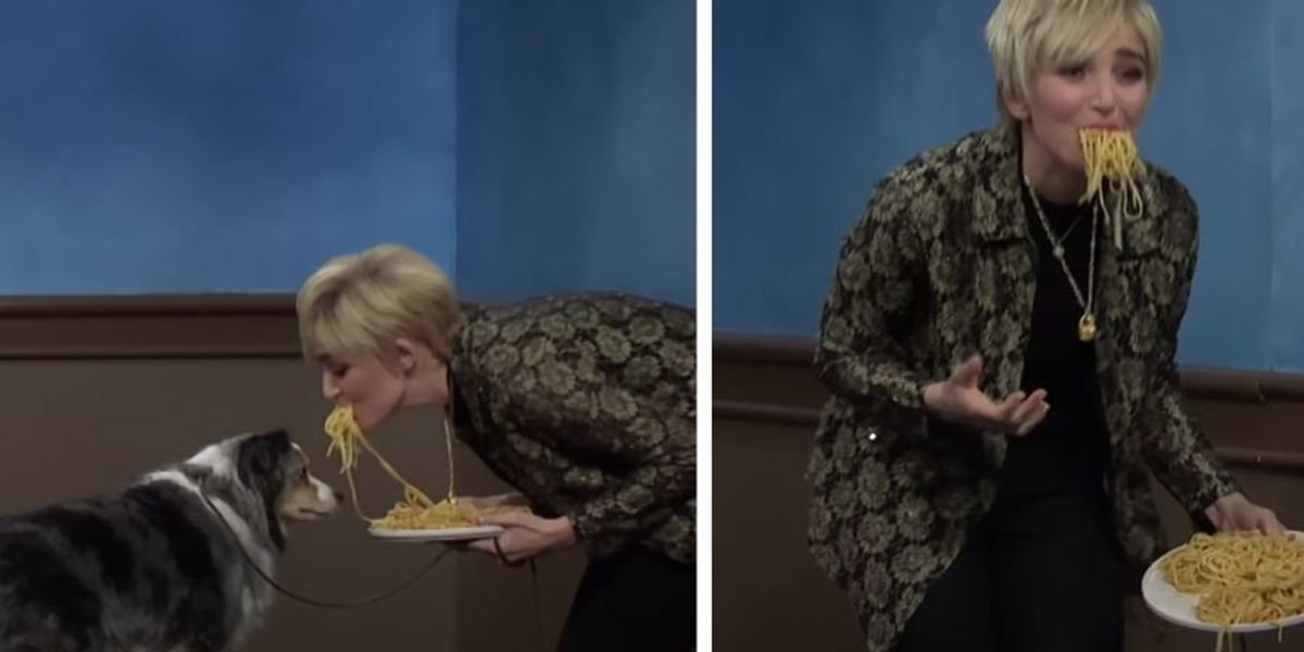 Ana de Armas stars in "SNL" dog school commercial