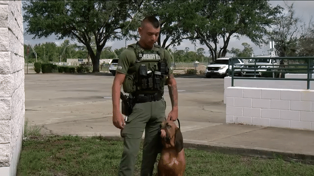 Charlotte County Sheriff's Office K9 wins Florida's deputy dog 'March Madness' tournament