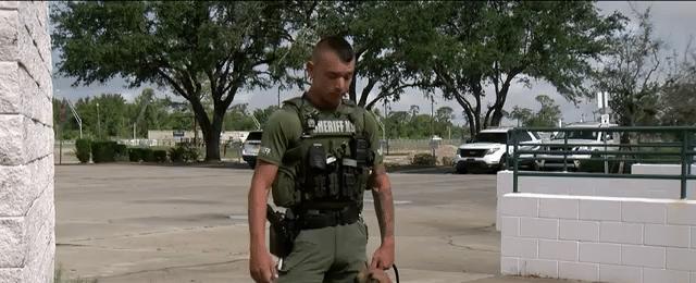 Charlotte County Sheriff's Office K9 wins Florida's deputy dog 'March Madness' tournament