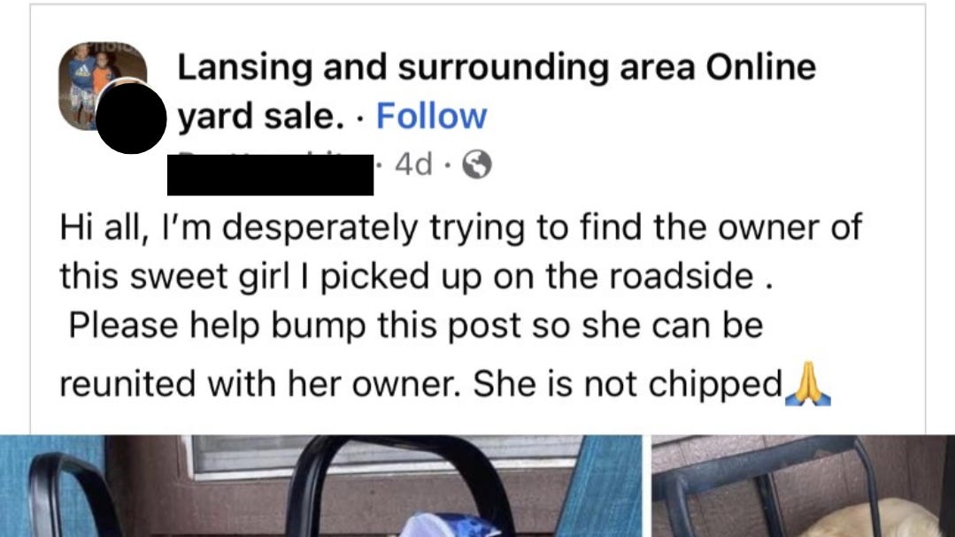 Sharing Facebook post about lost pet could lead to a rental scam