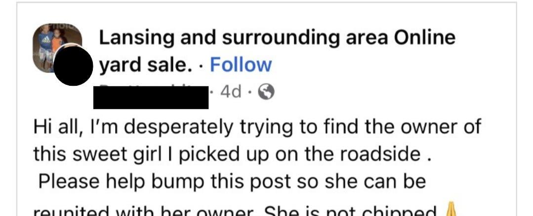 Sharing Facebook post about lost pet could lead to a rental scam