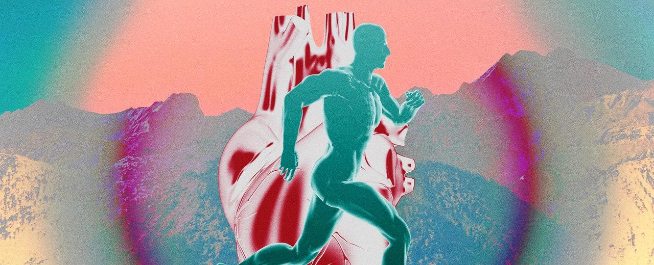 Zone 2 Training: Why Long, Easy Workouts Became the Biggest Thing in Fitness