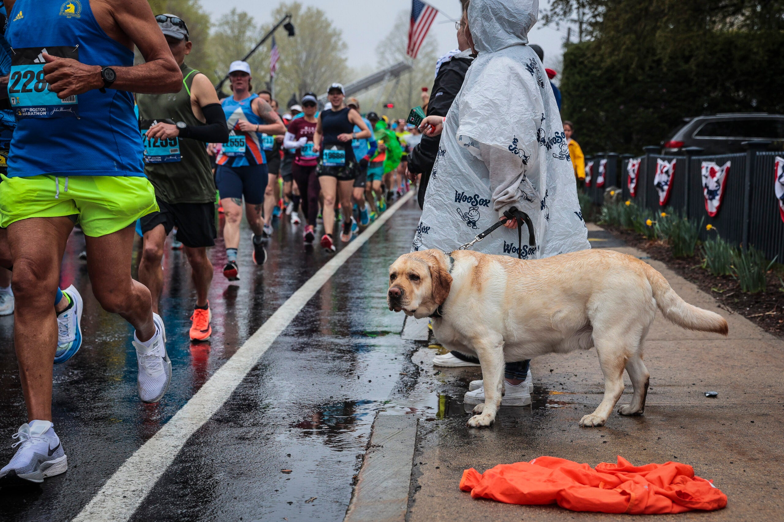 These adorable dogs cheer on Boston Marathon 2023 runners