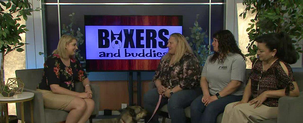 Boxers and Buddies raising money for several dogs’ medical needs during future fundraisers