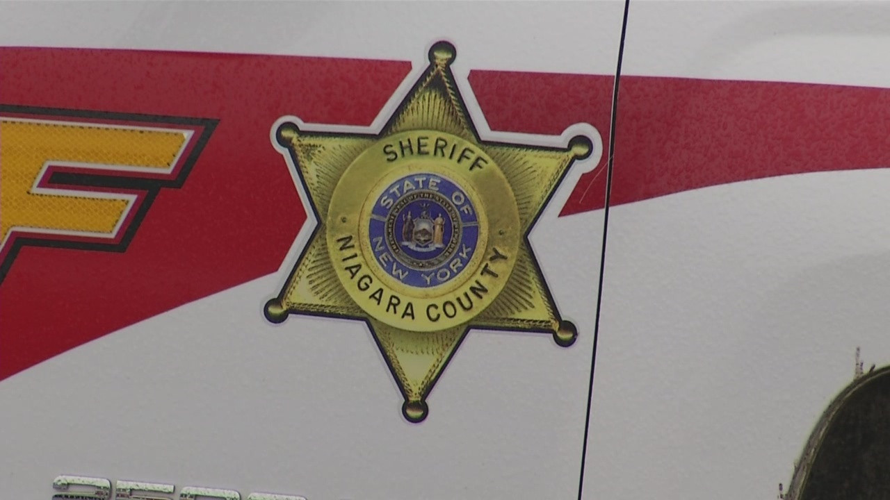 3-year-old in critical condition after being attacked by family-owned dogs