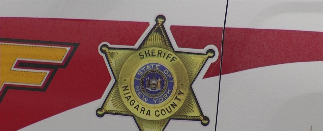 3-year-old in critical condition after being attacked by family-owned dogs