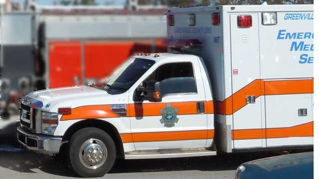 South Carolina: Woman attacked by dogs in ditch