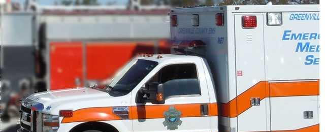 South Carolina: Woman attacked by dogs in ditch