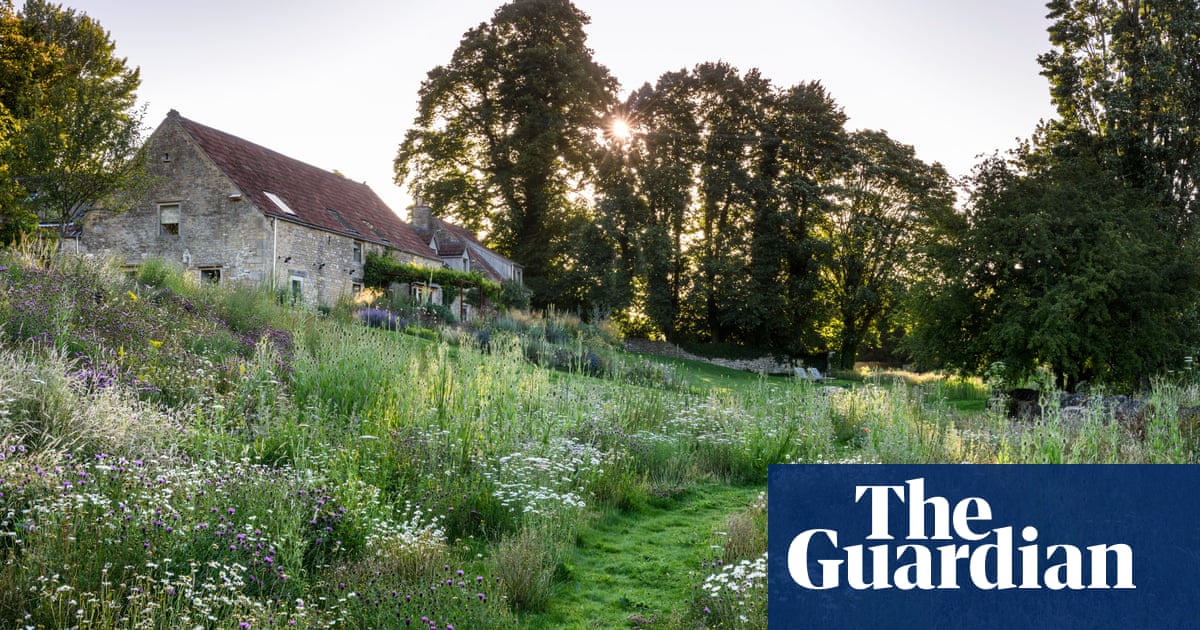 Think like a beaver, create a pond – and lose the cat: seven ways to rewild your garden