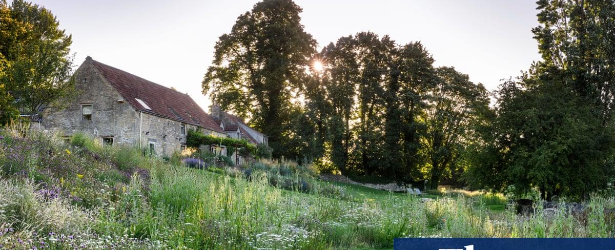 Think like a beaver, create a pond – and lose the cat: seven ways to rewild your garden