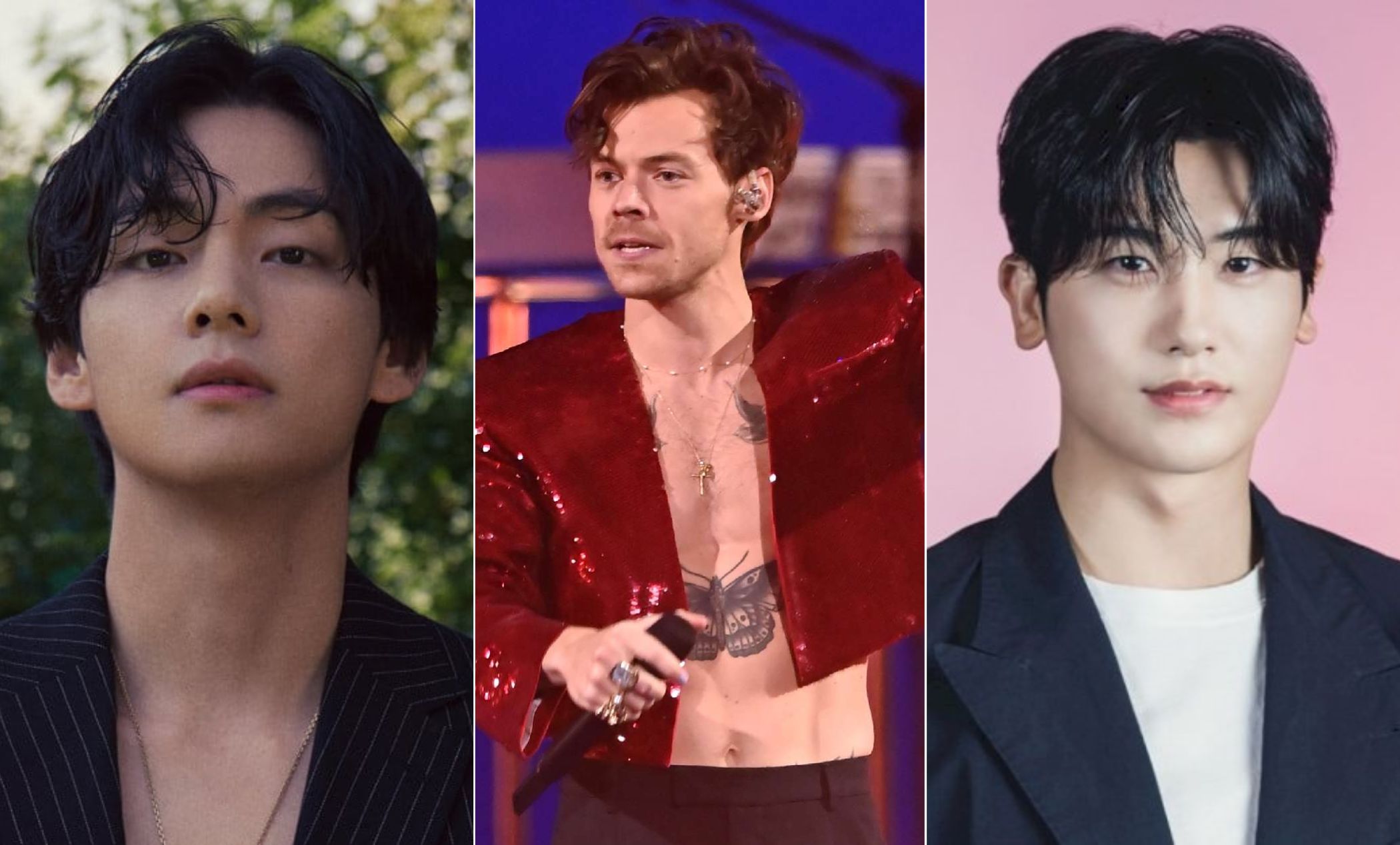 From BTS to Park Hyungsik: Prominent Korean celebrities who attended Harry Styles' concert in Seoul