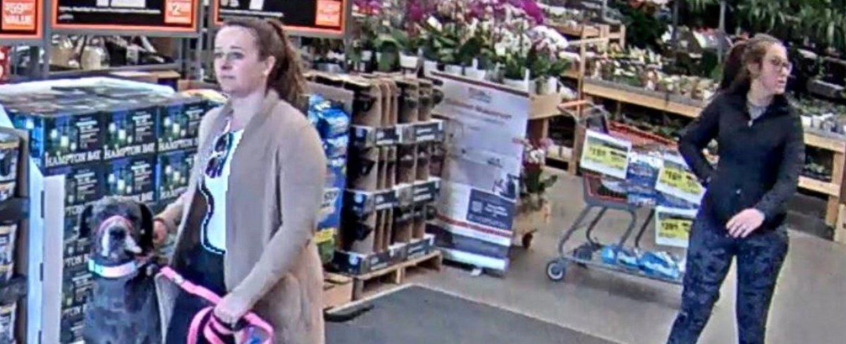 Dog bites customer in the face at Home Depot, owner walks off, sheriff says