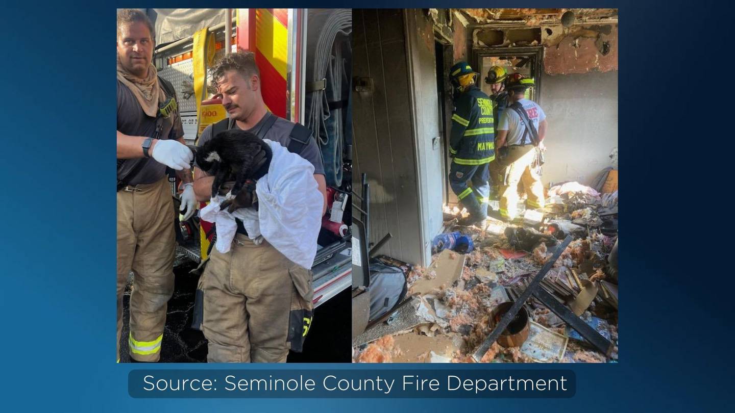 Over 5 animals saved, 1 cat dies in Casselberry house fire, firefighters say