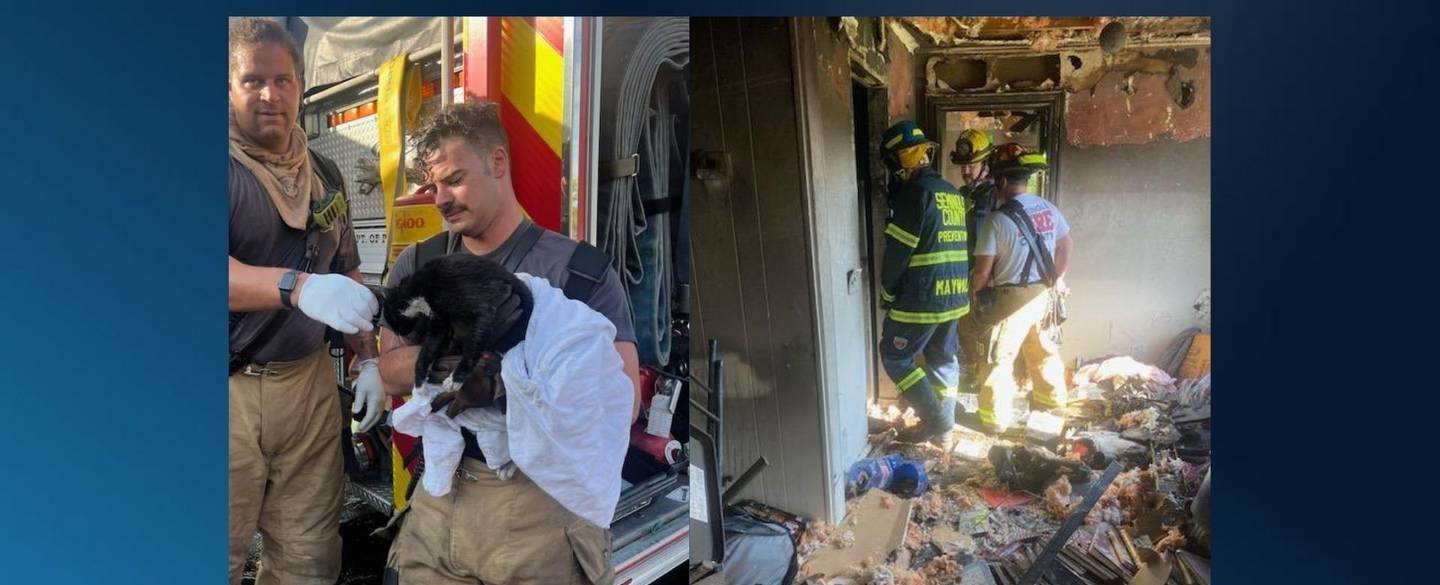 Over 5 animals saved, 1 cat dies in Casselberry house fire, firefighters say