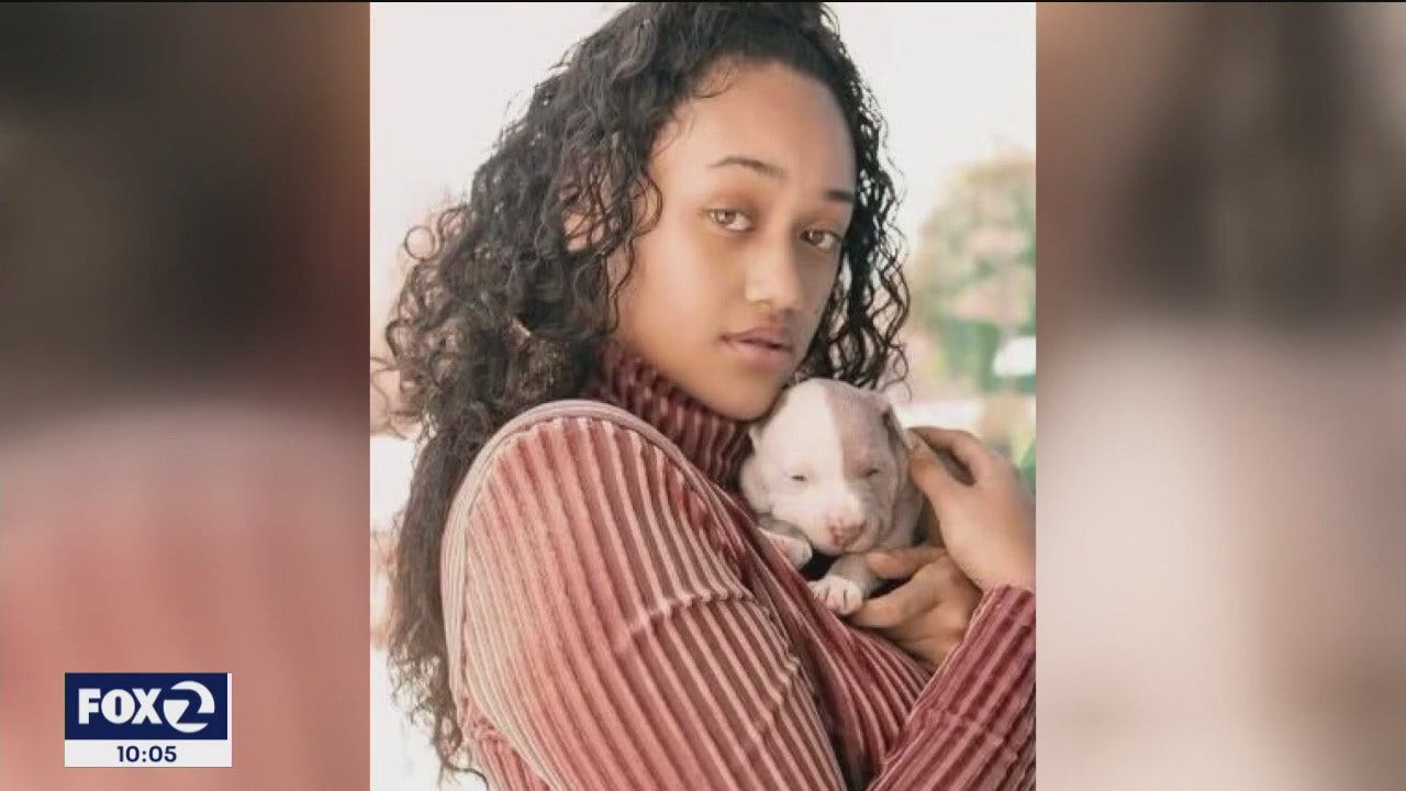 Dog fatally beaten, stabbed and found in garbage can in Hercules