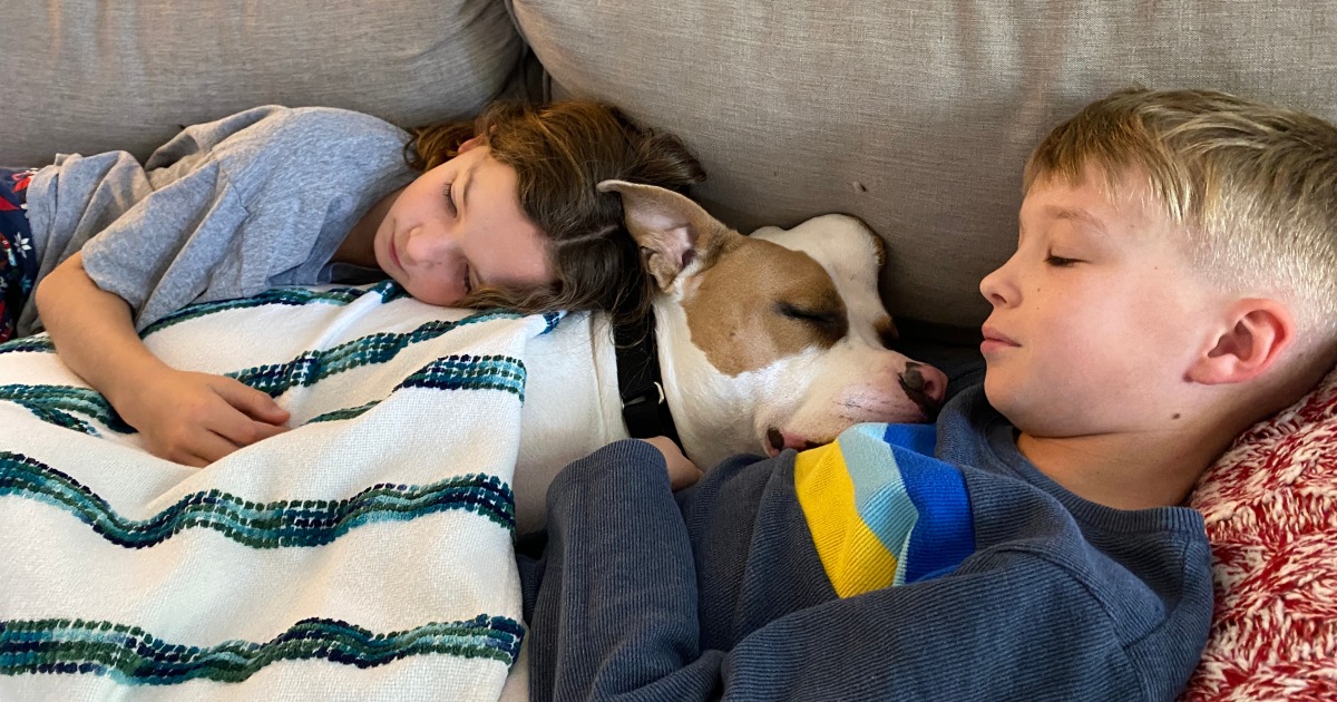 Family Adopts 'Unicorn' Dog Who Was Nearly Euthanized For Bump On Head