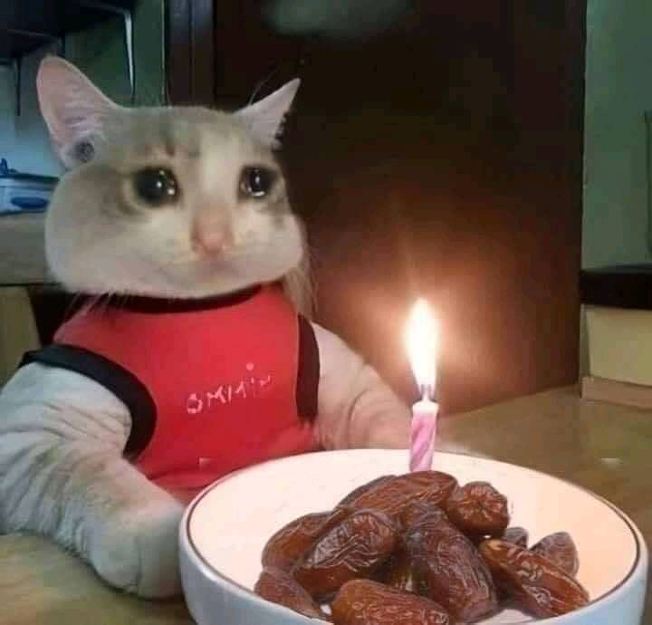 How To Celebrate Your Birthday When It Falls in Ramadan - Cairo Gossip