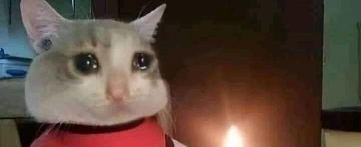 How To Celebrate Your Birthday When It Falls in Ramadan - Cairo Gossip